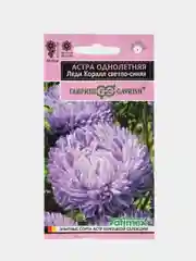 Астра Леди Коралл светло-синяя (семена,цветы)