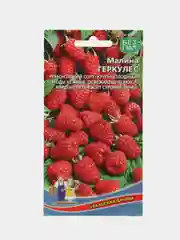 Малина Геркулес (семена)