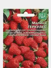 Малина Геркулес (семена)