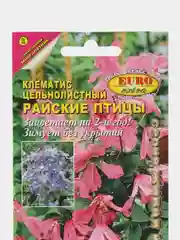 Клематис Райские птицы цельнолистный (семена,цветы)