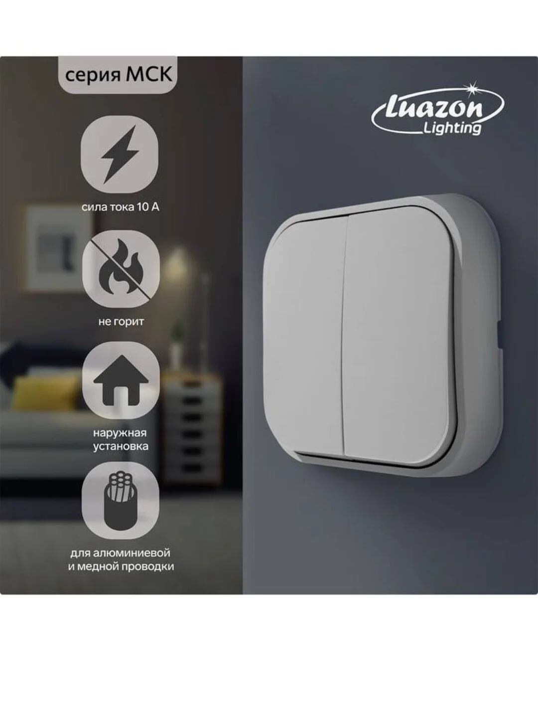 Выключатель Luazon Lighting "МСК", 10 А, белый. Навесной