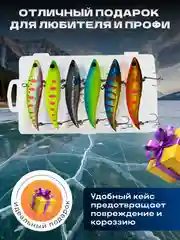 Набор зимних раттлинов из 6 шт
