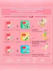 Чай в пирамидках Tess Коктейль Бокс№3 Бузина оолонг с добавками 1,5гх20пакетиков