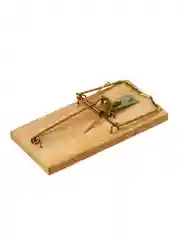 Мышеловка, 8 х 5 см, дерево, Greengo