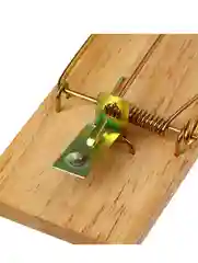 Мышеловка, 8 х 5 см, дерево, Greengo