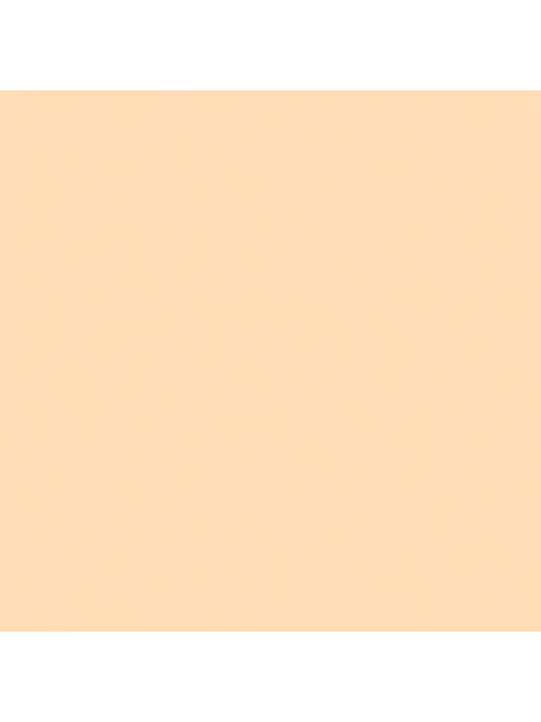 FOCALLURE Консилер с кистью Soft Matte Complete Concealer тон 05 (натуральный бежевый) 8 г