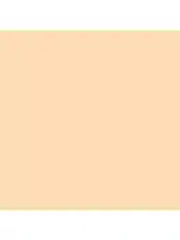 FOCALLURE Консилер с кистью Soft Matte Complete Concealer тон 05 (натуральный бежевый) 8 г