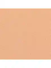 FOCALLURE Пудра для лица Cover Two way cake Pressed Powder тон 02, 6,8 г