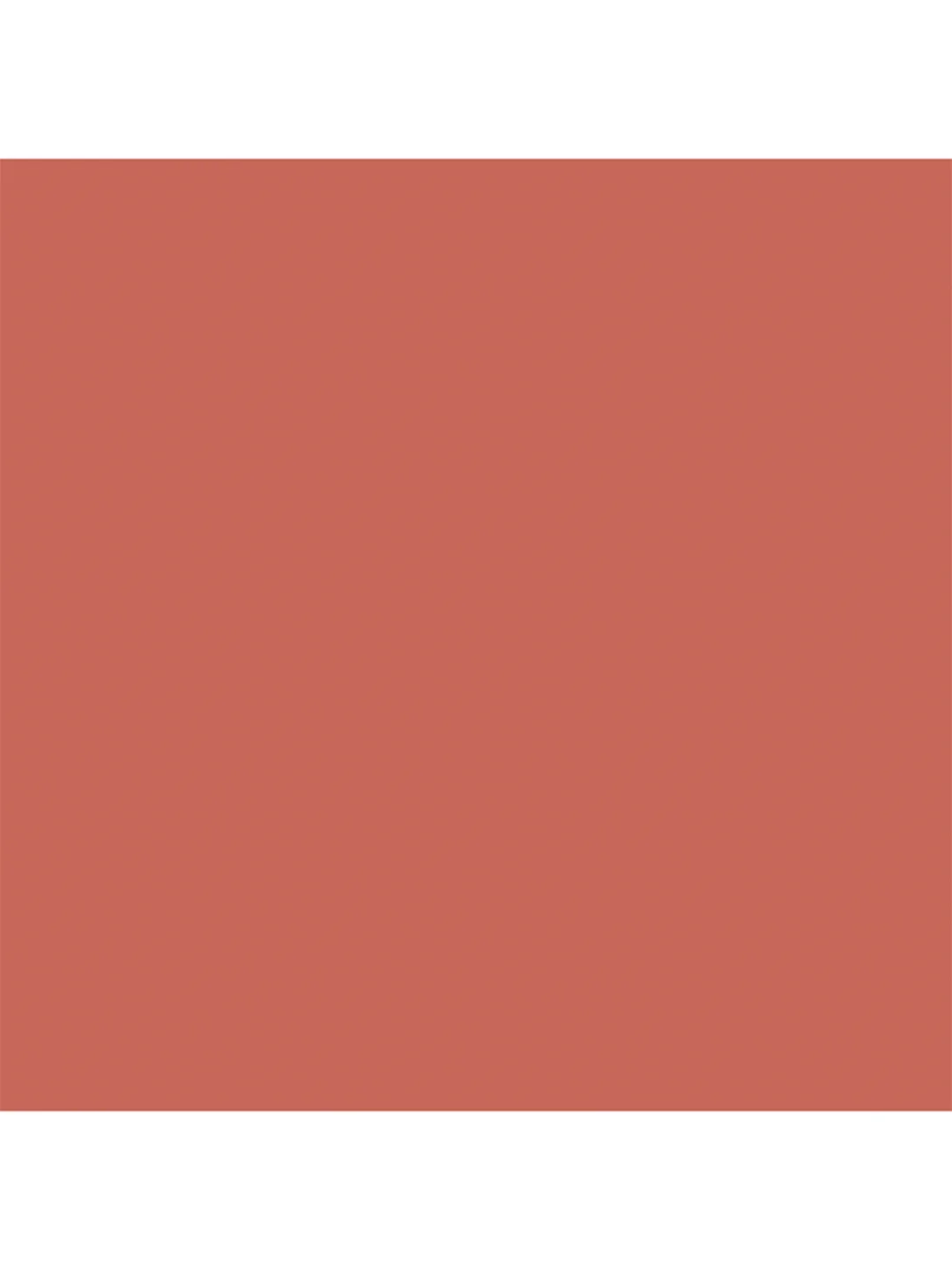 FOCALLURE Помада для губ Pure Matte Lipstick тон BR10, 3,7 г