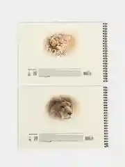 Альбом для рисования А4 40 листов, Комплект 2 штуки, обложка картон, Brauberg, 205х290 мм