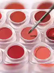 FOCALLURE Кремовые румяна помада Creamy Lip & Cheek Duo тон D06, 5 г