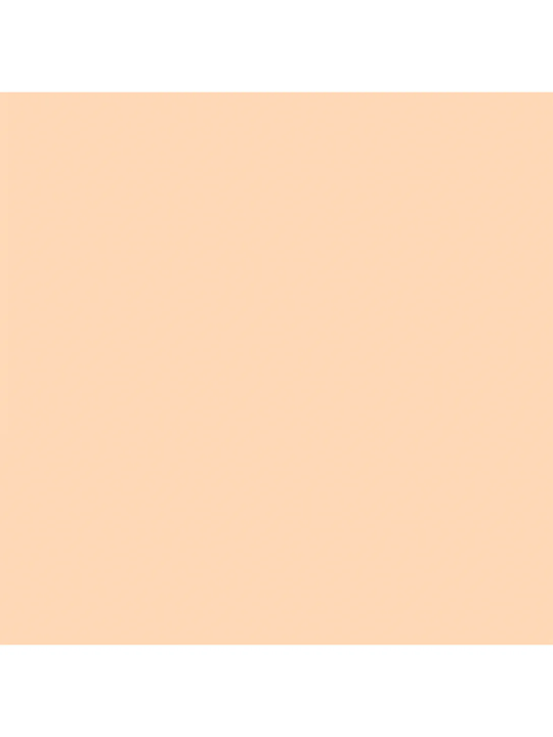 FOCALLURE Консилер с кистью Soft Matte Complete Concealer тон 02 (тёплый светлый), 8 г