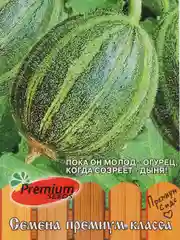 Огурдыня Каразелла