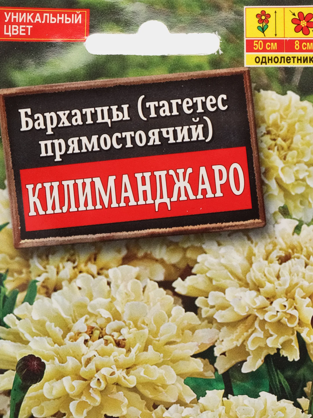 Набор семян,Бархатцы Килиманджаро (2 пачки)