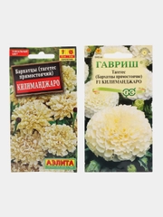 Набор семян,Бархатцы Килиманджаро (2 пачки)