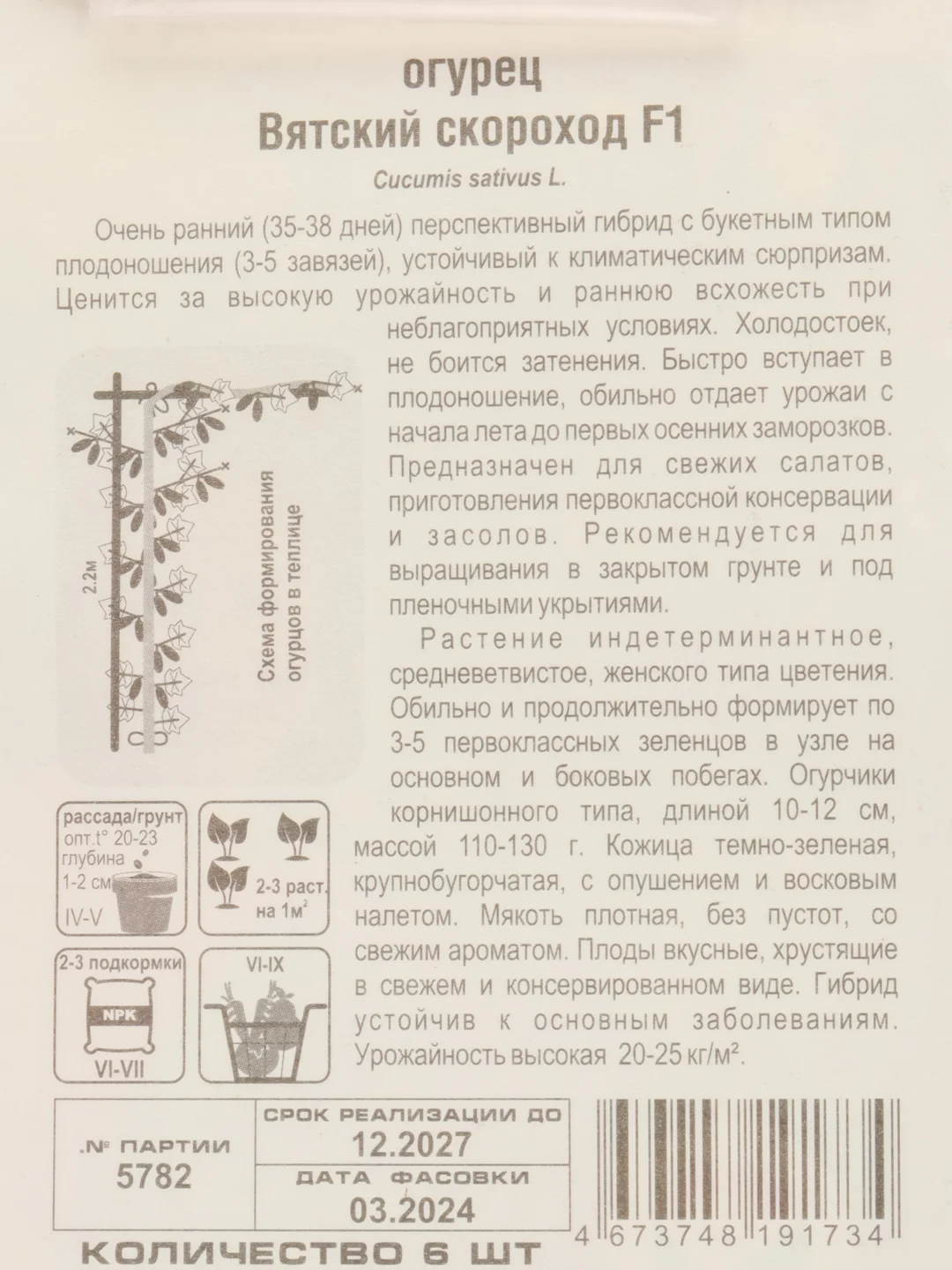 Огурец Вятский скороход,6 шт