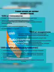VPLAB Glucosamine Chondroitin MSM, Глюкозамин хондроитин, 90 таблеток