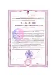 Vplab Elite NOX Starter, Предтренировочный комплекс, 400 г со вкусом фруктового пунша