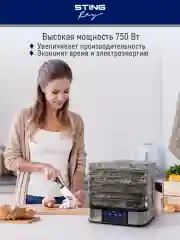 Серый металлик электросушилка STINGRAY ST-FD700C 10 поддонов/ черный жемчуг