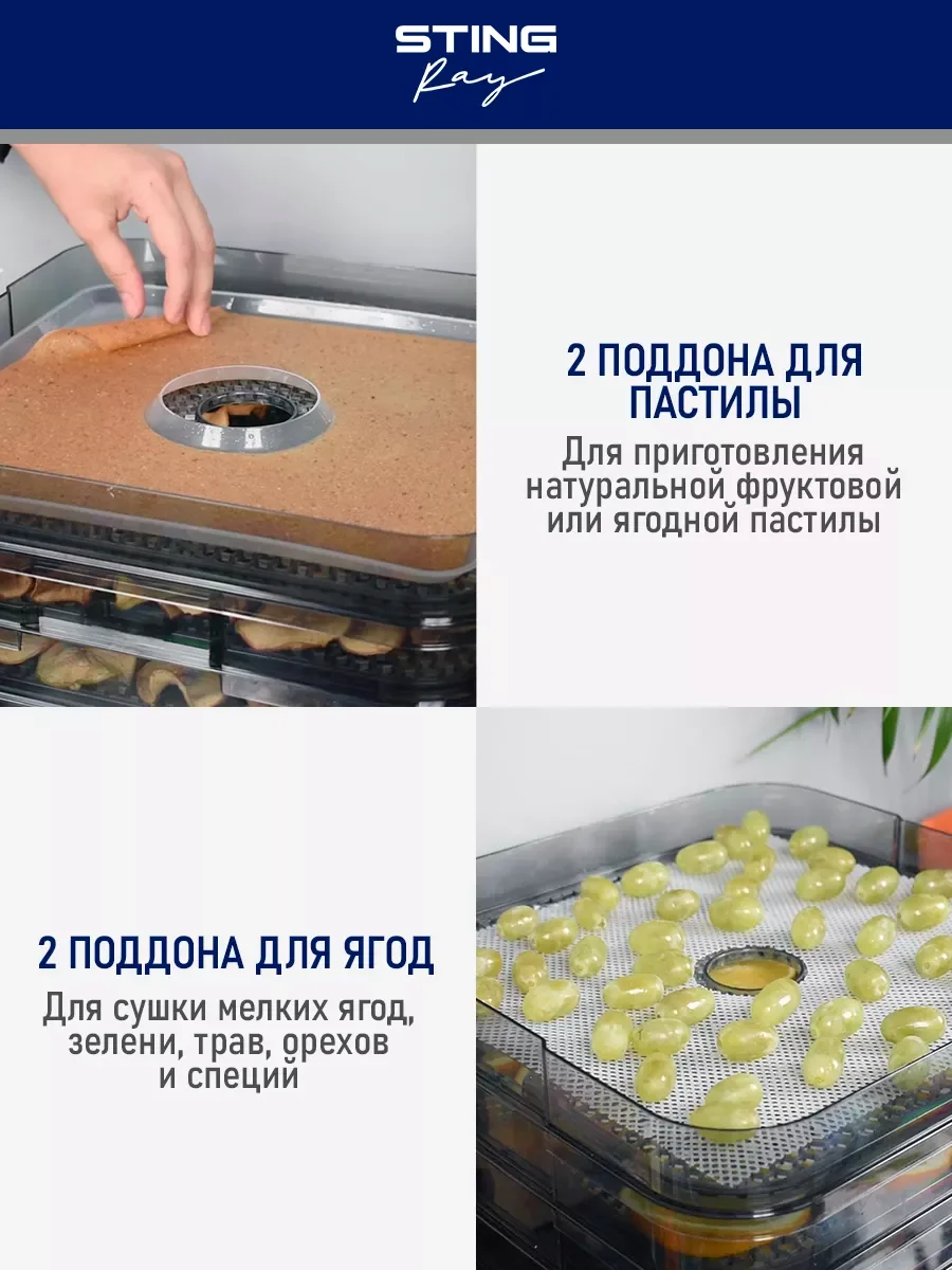 Серый металлик электросушилка STINGRAY ST-FD700C 10 поддонов/ черный жемчуг