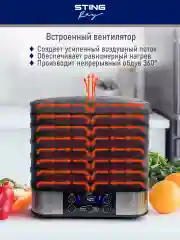 Серый металлик электросушилка STINGRAY ST-FD700C 10 поддонов/ черный жемчуг