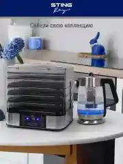 Серый металлик электросушилка STINGRAY ST-FD700C 10 поддонов/ черный жемчуг