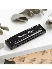 Губная гармошка Music Life, диатоническая, C-major, с футляром, черная