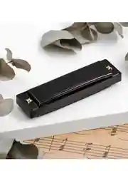 Губная гармошка Music Life, диатоническая, C-major, с футляром, черная