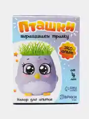 Аметистовый набор для опытов "Выращиваем травку"
