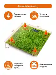 Зеленый home ELEMENT HE-SC906 молодая трава весы напольные сенсор