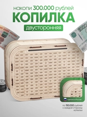 Копилка для денег Positron+S, на 300 000 рублей