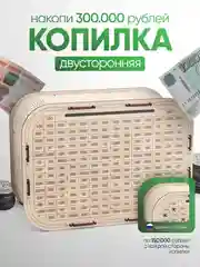 Копилка для денег Positron+S, на 300 000 рублей