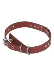 Ошейник для собак Аркон, коньячный, 16 мм, 26-34 см