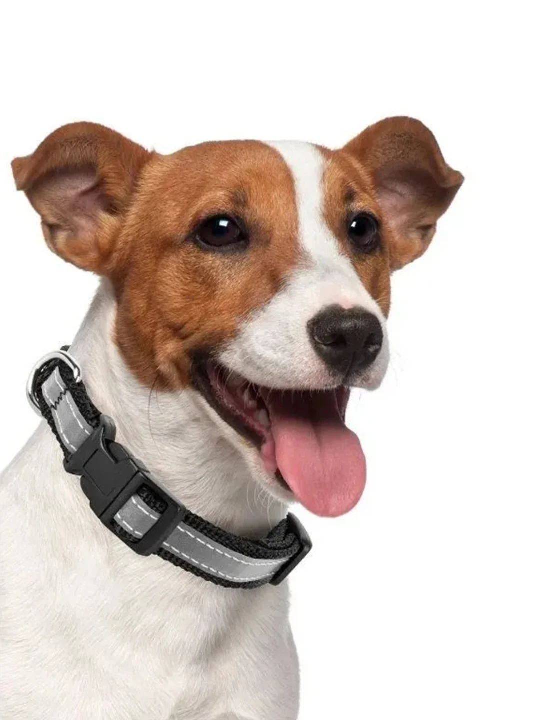 Ошейник Аркон DOG&VOGUE, со светоотражающей полосой, ширина 20 мм, черный