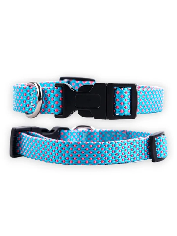 Ошейник Аркон Dog&Vogue NEO, нейлон, ширина 15 мм, 24-32 см, голубой