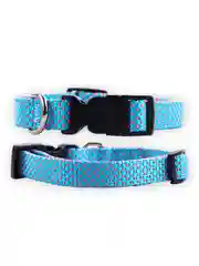 Ошейник Аркон Dog&Vogue NEO, нейлон, ширина 20 мм, 33-50 см, голубой