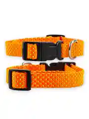 Ошейник Аркон Dog&Vogue NEO, нейлон, ширина 15 мм, 24-32 см, оранжевый
