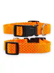 Ошейник Аркон Dog&Vogue NEO, нейлон, ширина 20 мм, 33-50 см, оранжевый