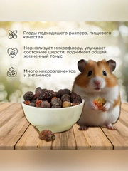 Ягодный микс для грызунов Микимилс, 150 г