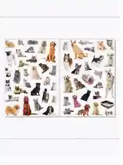 Наклейки многоразовые Кошки и собаки, формат А4