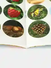 Бирюзовый наклейки-кружочки "Маша и медведь"