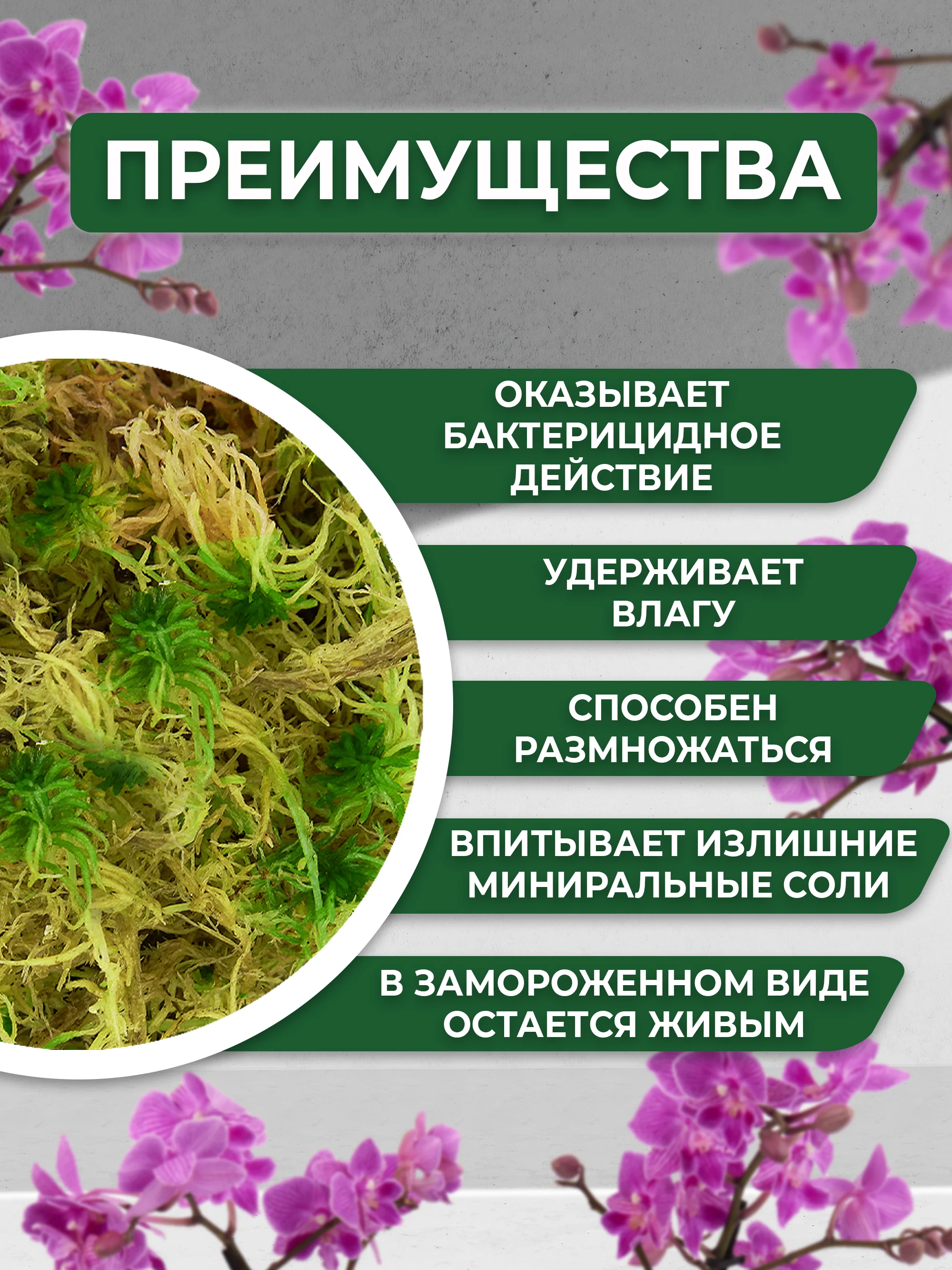 Мох живой для орхидей сфагнум  1.5 л мульча для цветов и комнатных растений