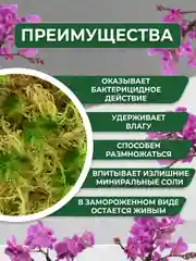Мох живой для орхидей сфагнум  1.5 л мульча для цветов и комнатных растений