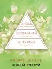 Диффузор для дома, ароматизатор с палочками
