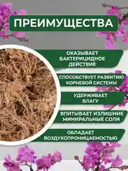 Мох для орхидей сфагнум 3 л мульча для цветов и комнатных растений