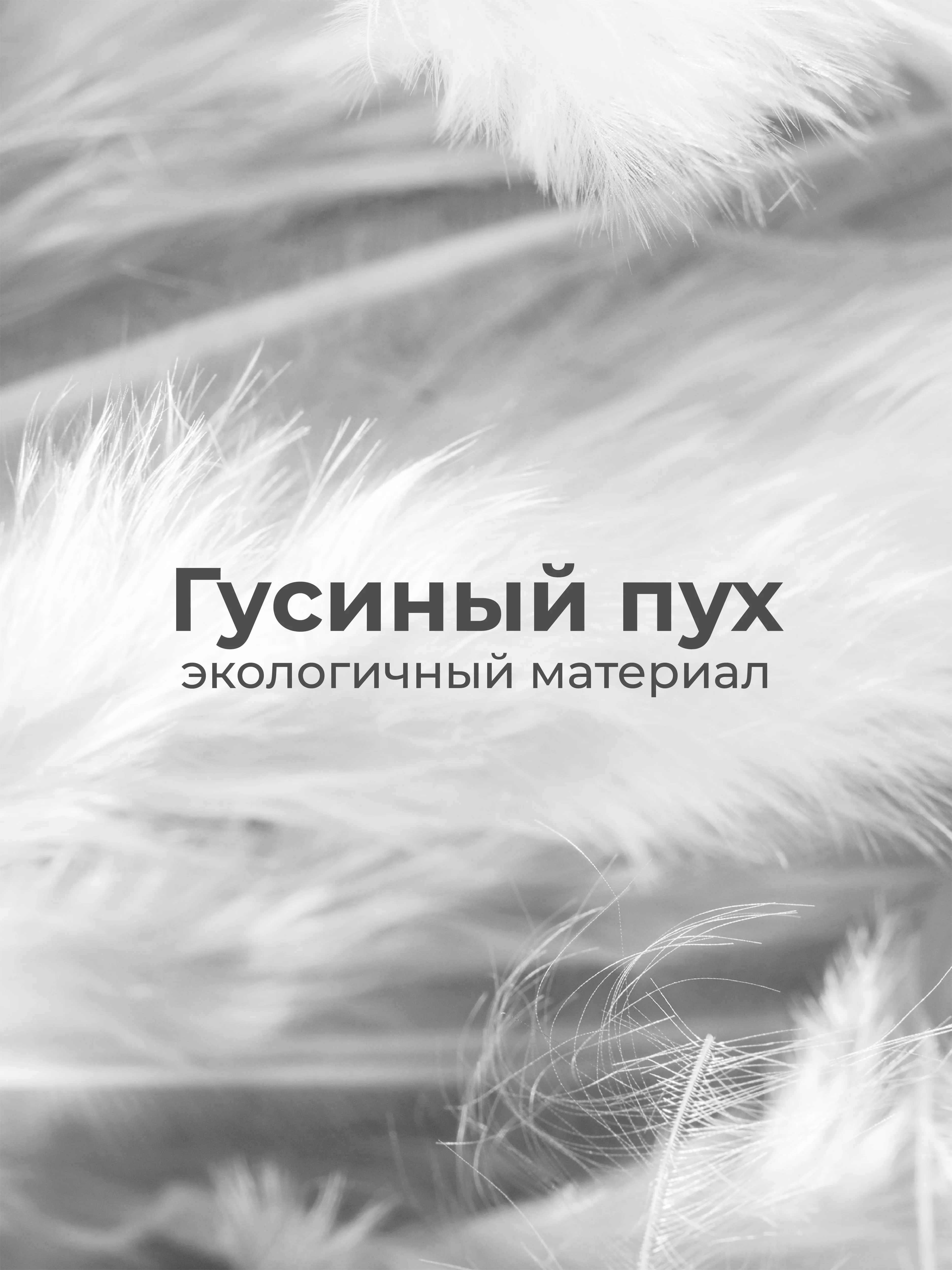 Подушка BelPol полупуховая BP КОМФОРТ одуванчики 50х68, 68х68