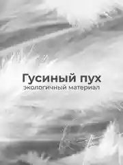 Подушка BelPol полупуховая BP КОМФОРТ одуванчики 50х68,  68х68