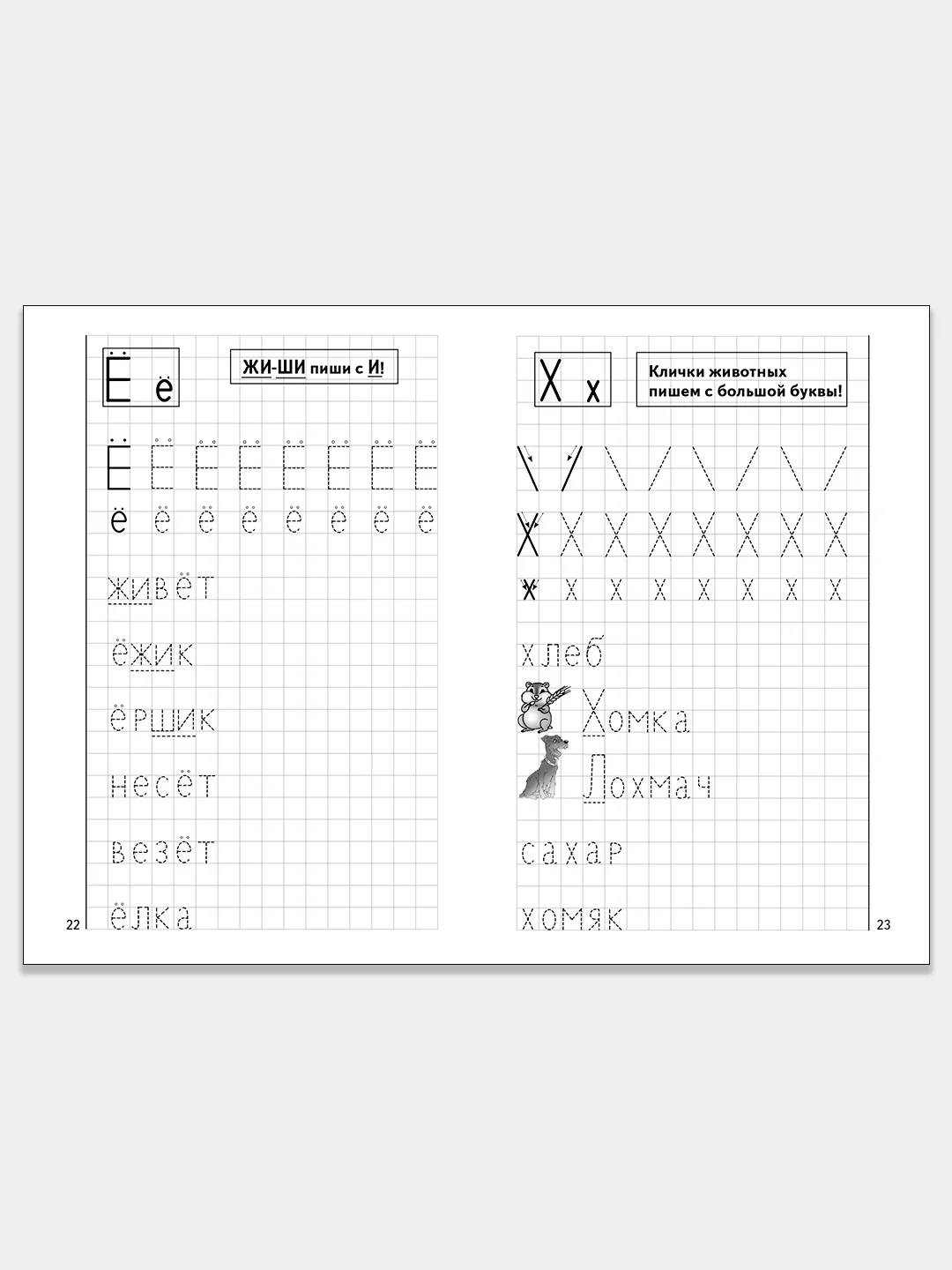 Комплект из 3 рабочих тетрадей для детей 4-6 лет. Елена Бортникова