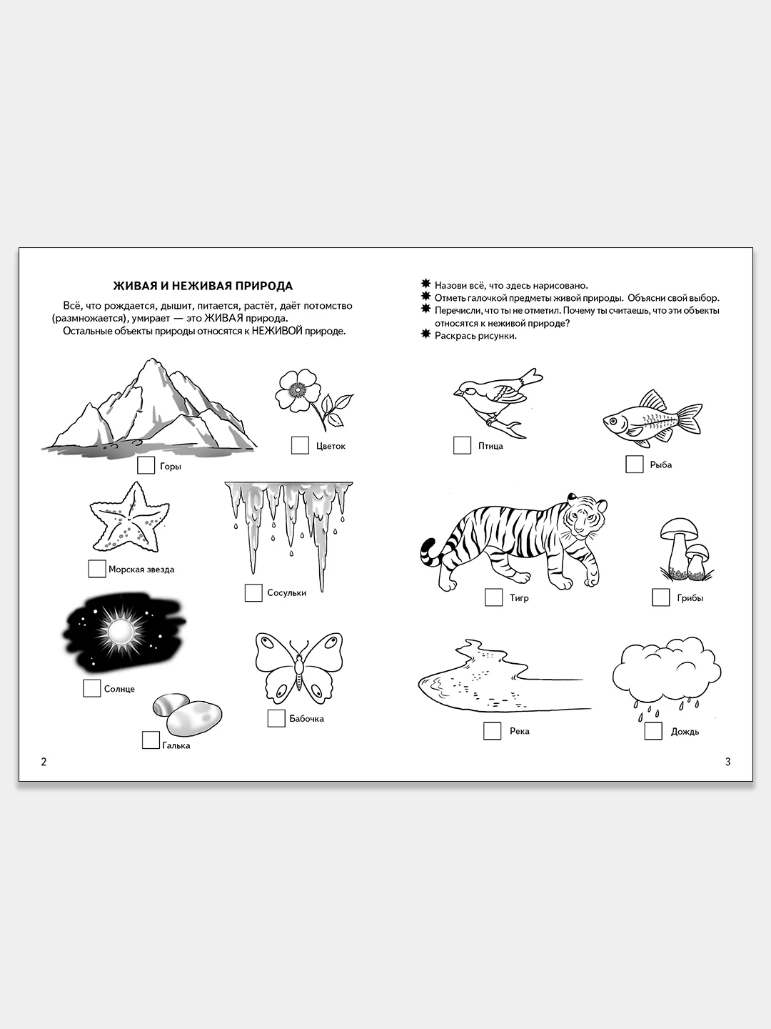 Комплект из 3 рабочих тетрадей для детей 4-6 лет. Елена Бортникова