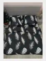 Постельное белье, 1,5 сп, 2 спальное, евро, полисатин, ivSubelIa "Перья на черном", 70 x 70